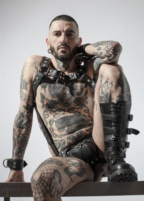 Stallion Papi